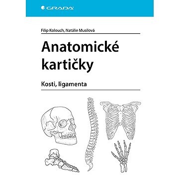 Anatomické kartičky