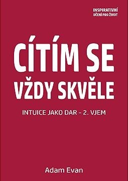 Cítím se vždy skvěle, Intuice jako dar 2. Vjem