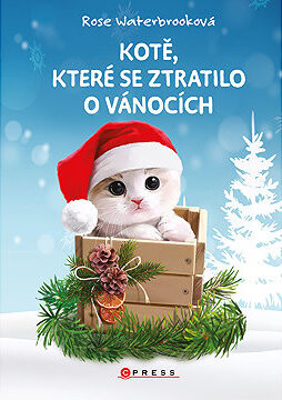 Kotě, které se ztratilo o Vánocích