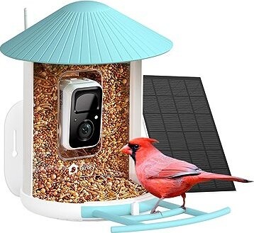 Birdfy Feeder Solar (AI predplatné)
