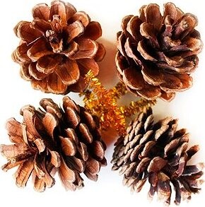 LAALU Vianočná dekorácia – prírodné šišky so zápichom 5 cm, 4 ks