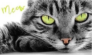 Carbotex Detský uterák Kocúrik Oskar 30 × 50 cm