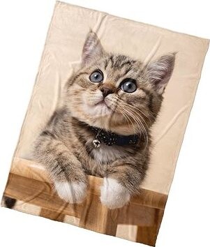 Kaptan Mikroplyšová deka Koťátko Rolnička 150 × 200 cm