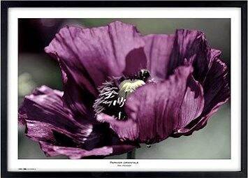 TRADAG Natura 70 x 100 čierny