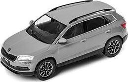 Škoda Karoq, sivý