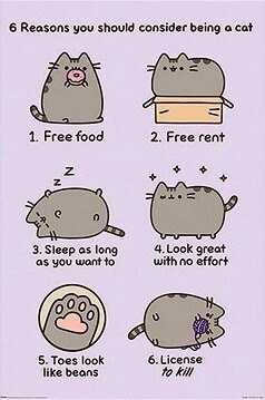 Pusheen: 6 Reasons Why To Be Cat