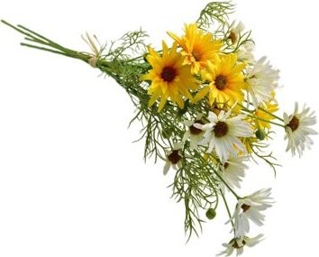 DOMMIO Lúčne kvety margaréty žlté 70 cm