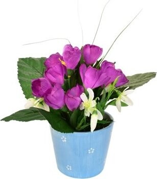 DOMMIO Krokus fialový v keramickom kvetináči 24 × 27 cm