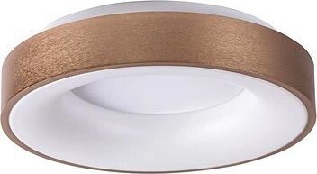 Rabalux – LED Stropné svietidlo CARMELA LED/50 W/230 V