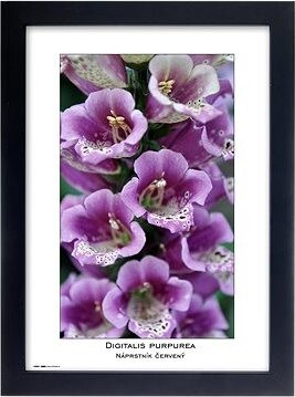 TRADAG Natura 21 x 29,7 - A4 čierny