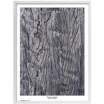 TRADAG Natura 60 x 80 biely