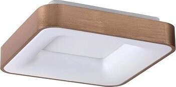 Rabalux – LED Stropné svietidlo CARMELA LED/30 W/230 V
