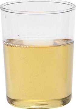 Gastro Pohár na čaj 220 ml, 6 ks