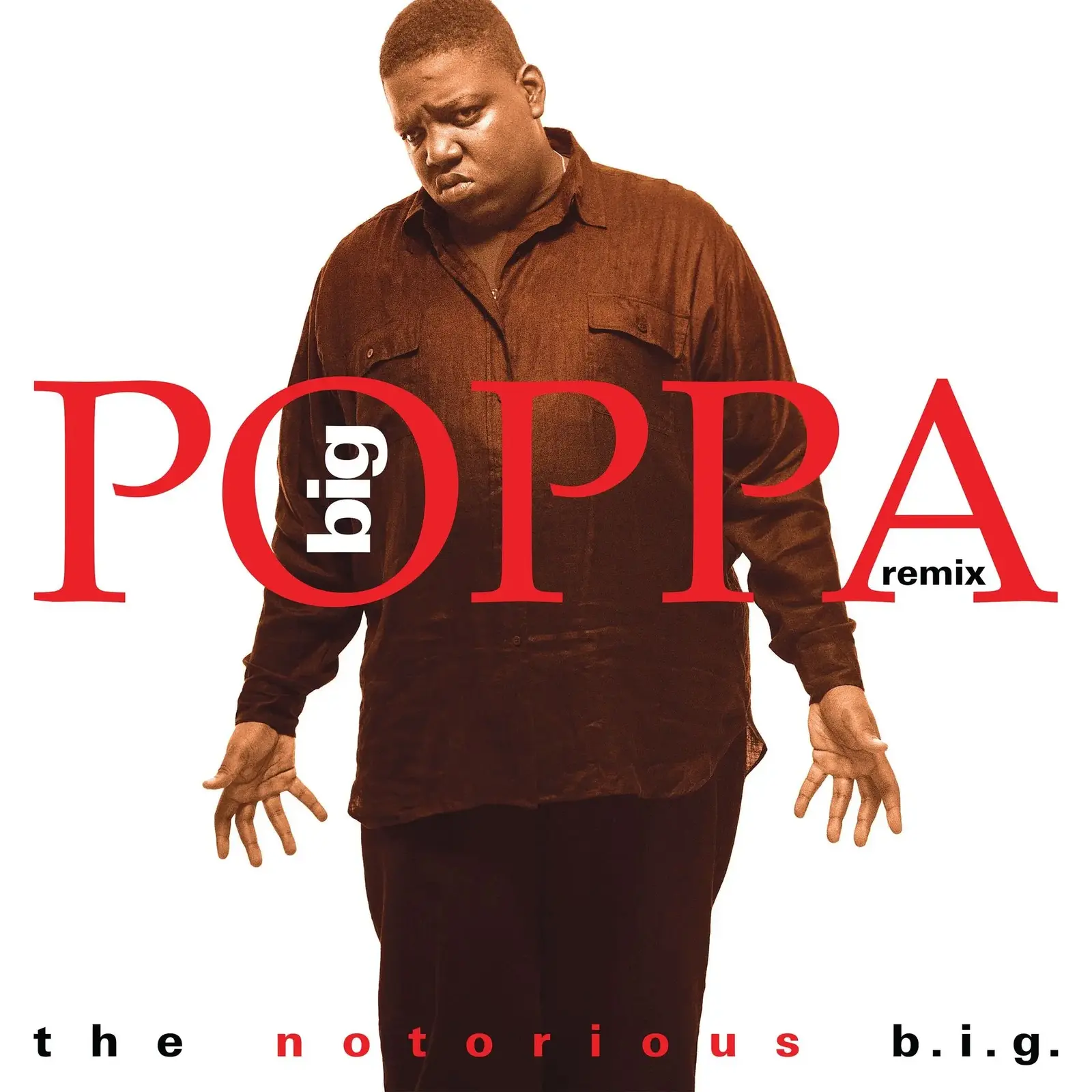 Big Poppa (Remix) (Red Vinyl)
