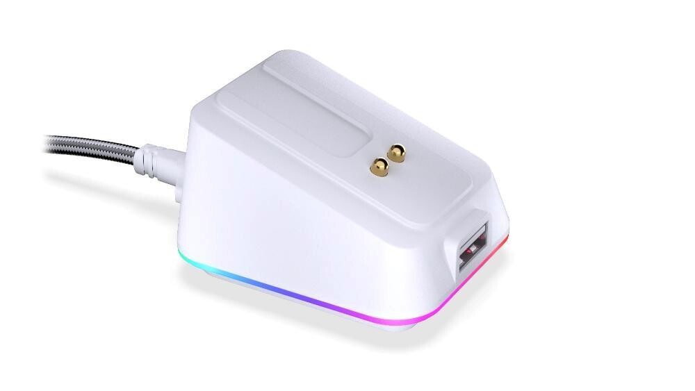 ENDORFY Dokovacia stanica pre LIV a LIV Plus, USB, RGB, biela