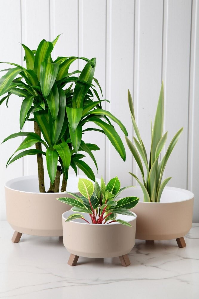 Vase Set TRPTSKS-3-3