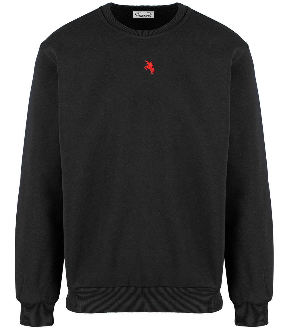 Pri Men's warm sweatshirt with ozodbone embroidery