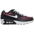 Nízke tenisky Nike Air Max 90 Ltr