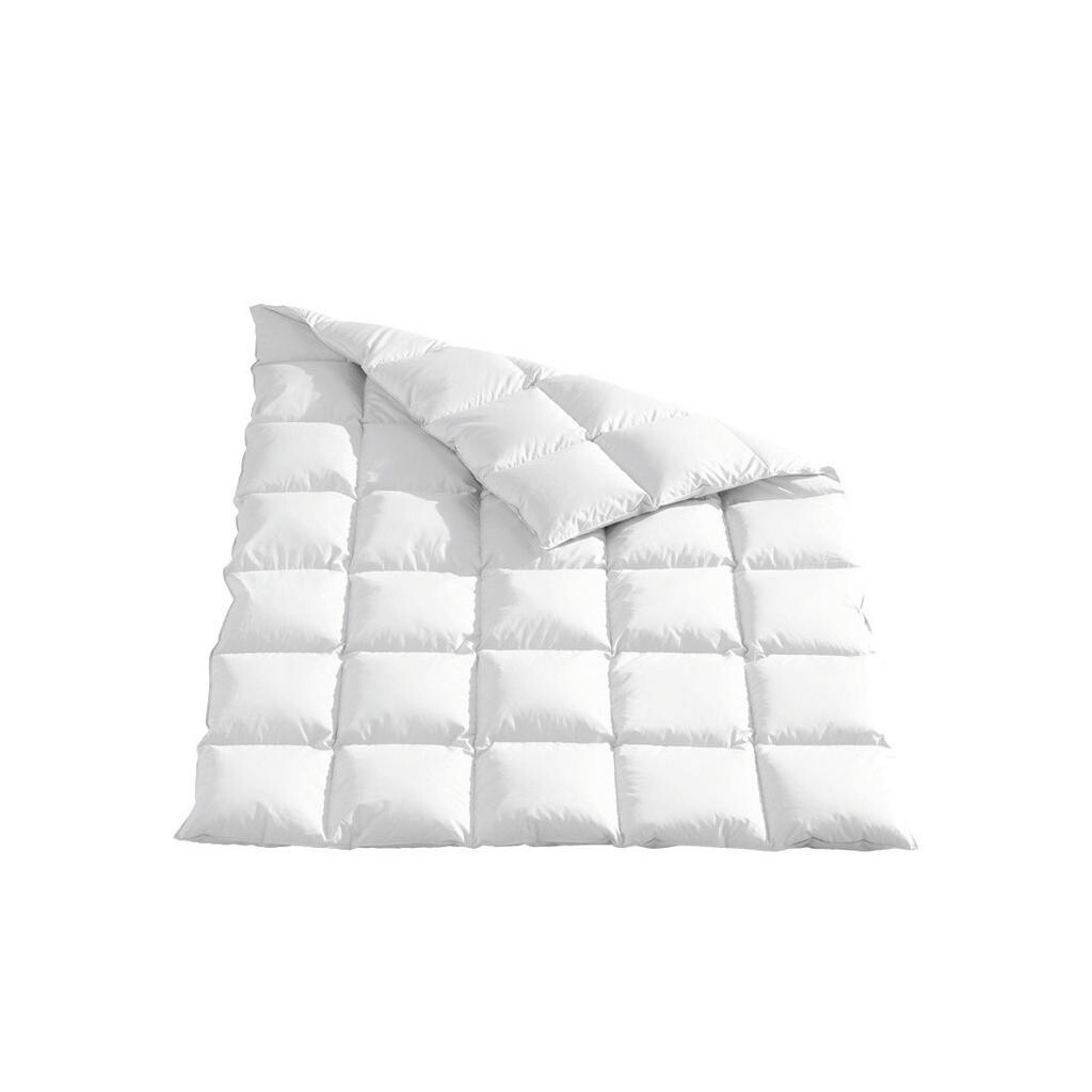 Sleeptex CELOROČNÁ PRIKRÝVKA, 220/240 cm, perie, páperie