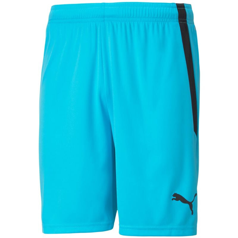 Šortky Puma teamLIGA M 704924 40 S