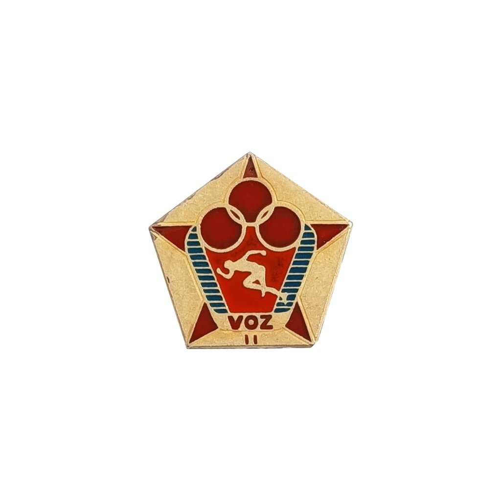 Odznak vojenskej zdatnosti 2. stupňa - farebný