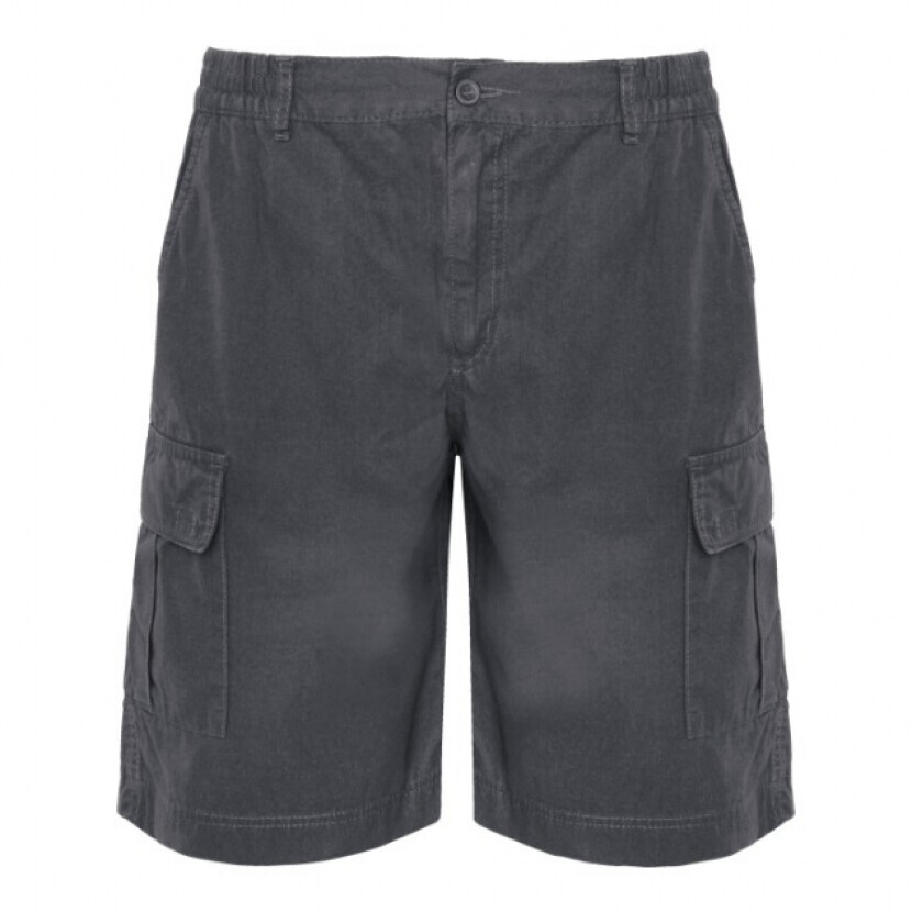 Pánske kraťasy Roly Armour - sivé, L