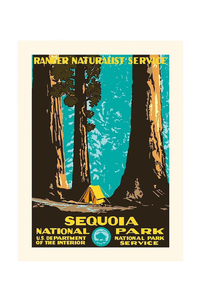 Nástenná dekorácia PLAKAT Sequoia 30 x 40 cm viac farieb