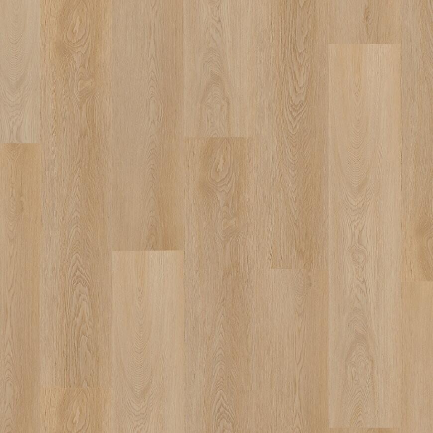 24NL PAN. WIN. SPC+IXPE 91829 DĄB STAFFORD 4V 5.3MM/0.55MM