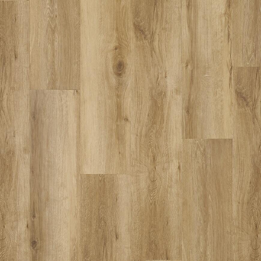 24NL PAN. WIN. SPC+IXPE 91599 DĄB RIVERTON 4V 5.3MM/0.55MM