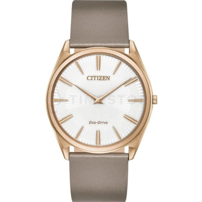 Citizen Eco-Drive AR3076-08A