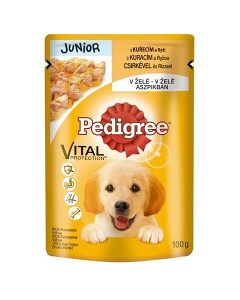 Pedigree Junior Multipack kapsičky v želé - 48 x 100 g