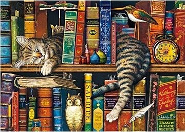 Schmidt Puzzle Frederick gramotný 1000 dielikov