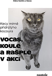 Kecy mírně přidrzlýho kocoura