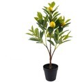 Umelé kvety Signes Grimalt Citrónovník S