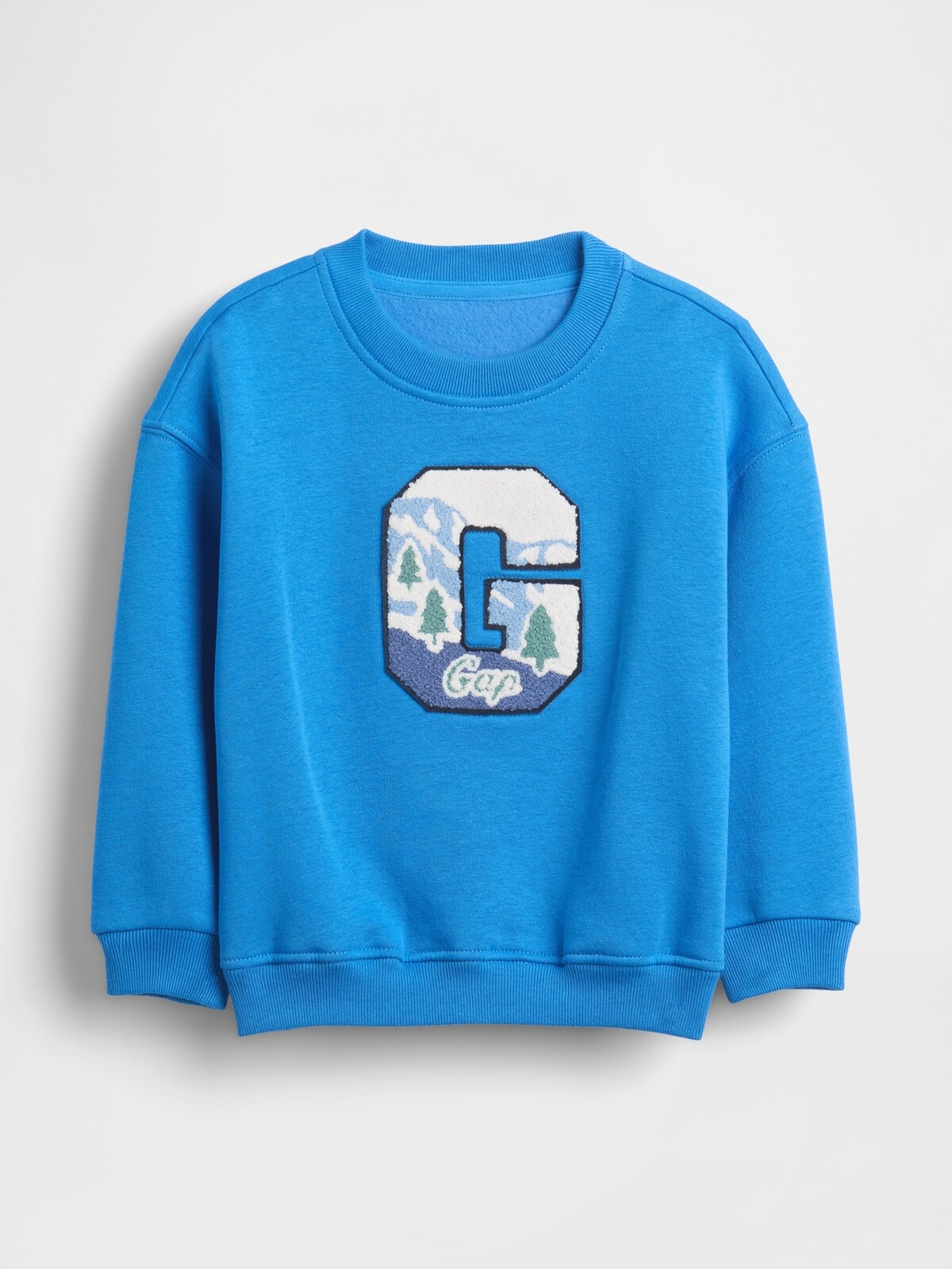 GAP Baby Sweatshirt Logo VintageSoft - Guys