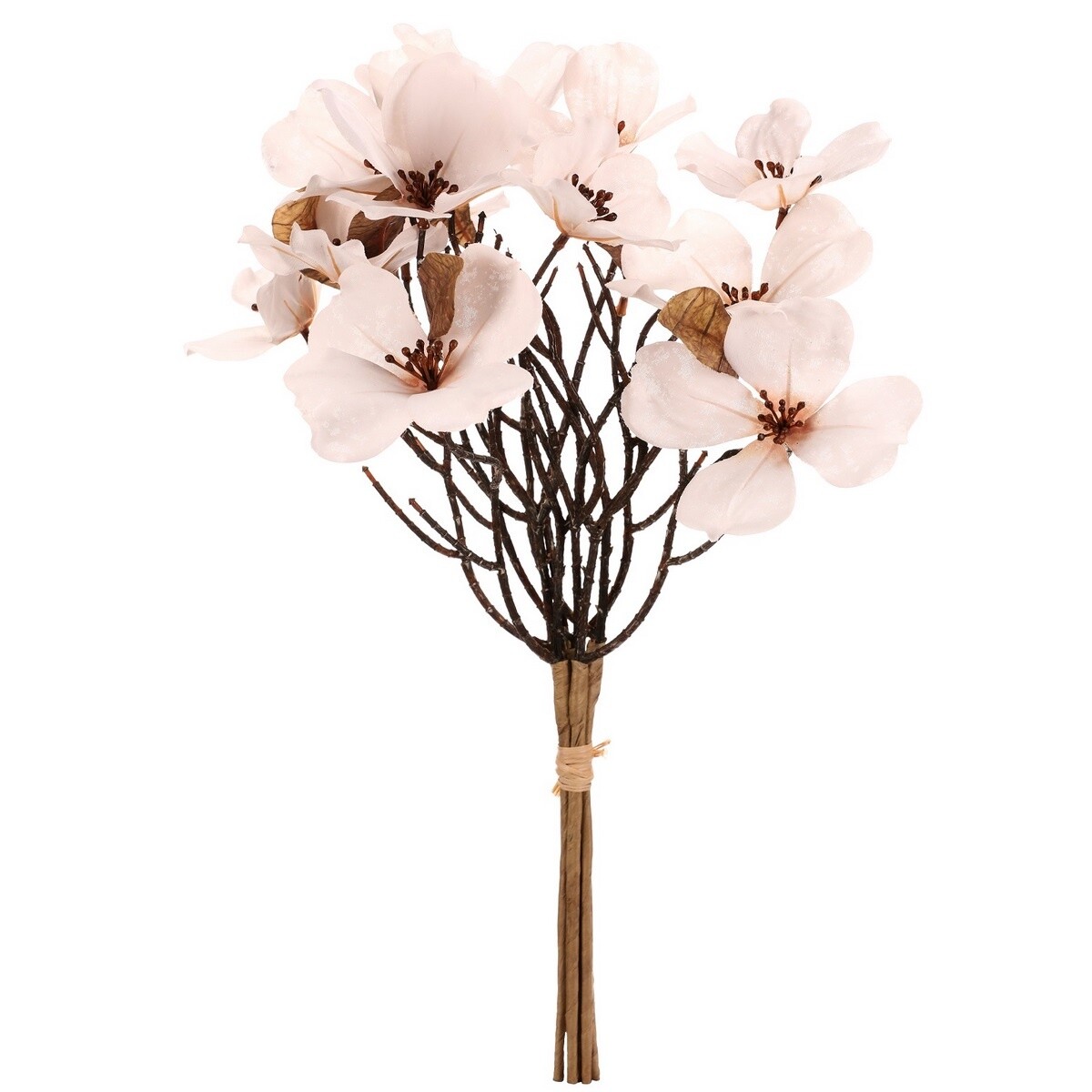 Magnólia biela, 6 vetvičiek vo zväzku, 30 x 43 cm