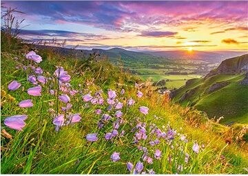 CASTORLAND Puzzle Zvončeky pri východe slnka 500 dielikov