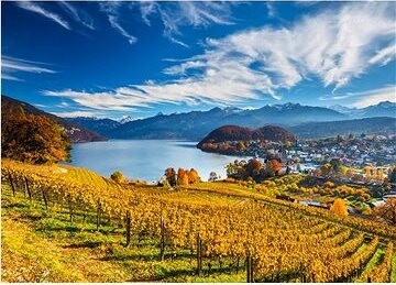 Puzzle Vinohrady 2000 dílků