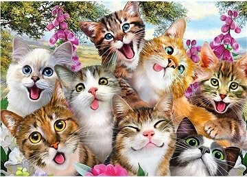 Schmidt Puzzle Kočičí selfie 500 dílků