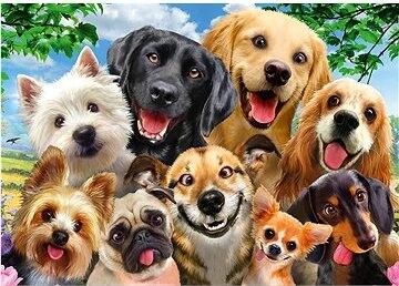 Puzzle Psí selfie 500 dílků