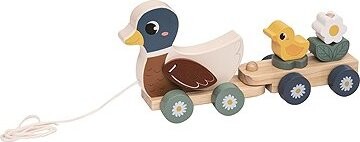 Dvěděti Kačacia rodina