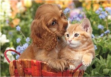 CLEMENTONI Roztomilí kamaráti MAXI 104 dielikov