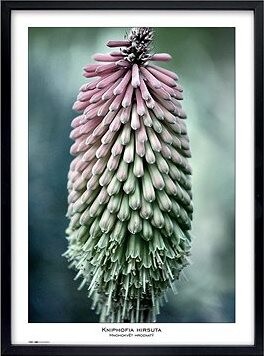 TRADAG Natura 50 x 70 čierny