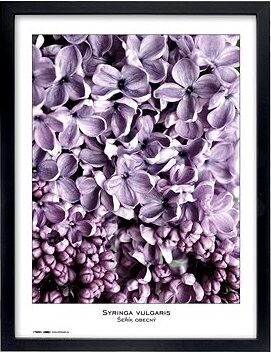 TRADAG Natura 40 x 50 čierny