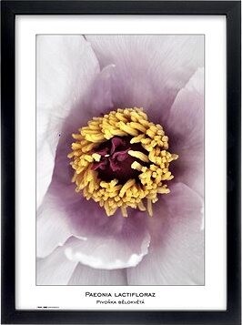 TRADAG Natura 29,7 x 42 - A3 čierny