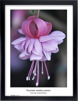 TRADAG Natura 30 x 40 čierny