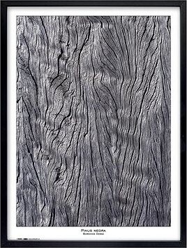 TRADAG Natura 60 × 80 čierny