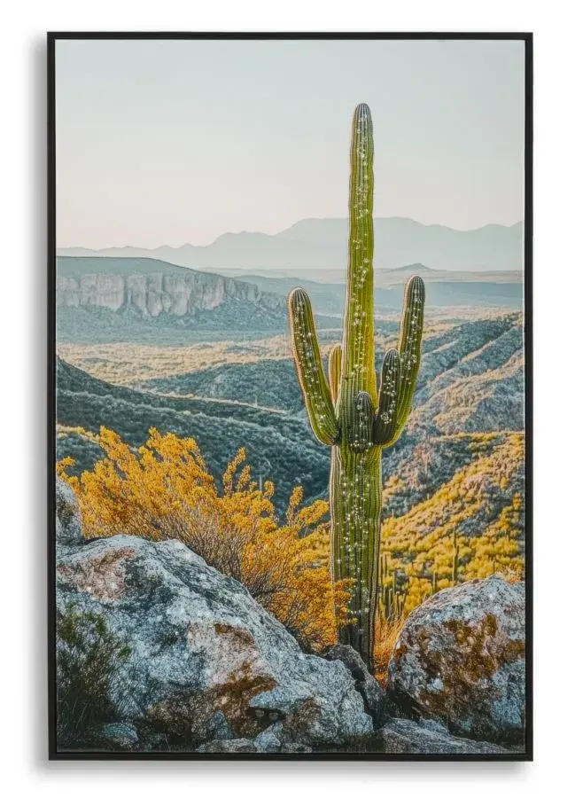 Obraz Cactus B 60x90 cm vícebarevný