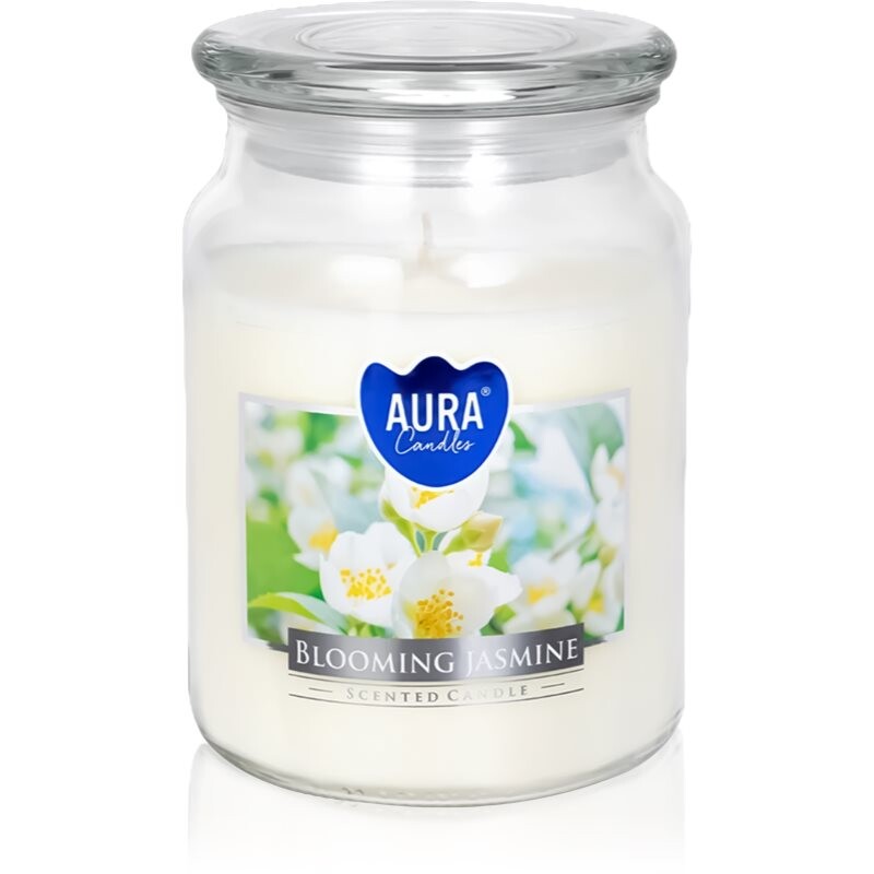 BISPOL Premium Line Jasmine vonná sviečka 500 g