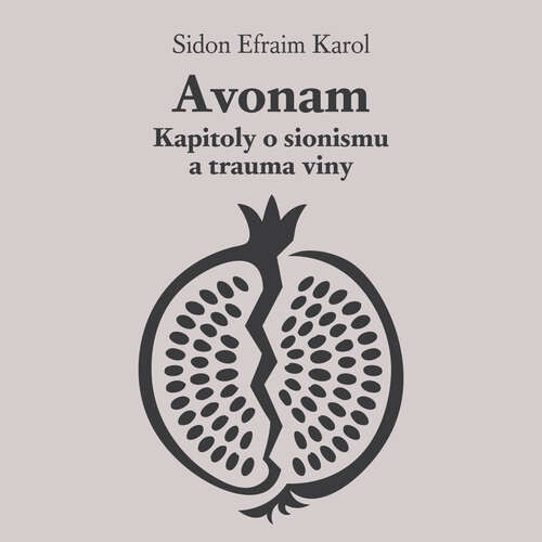 Avonam: Kapitoly o sionismu a trauma viny - Karol Efraim Sidon (mp3 audiokniha)